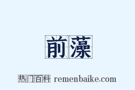 前藻是什么意思的图片